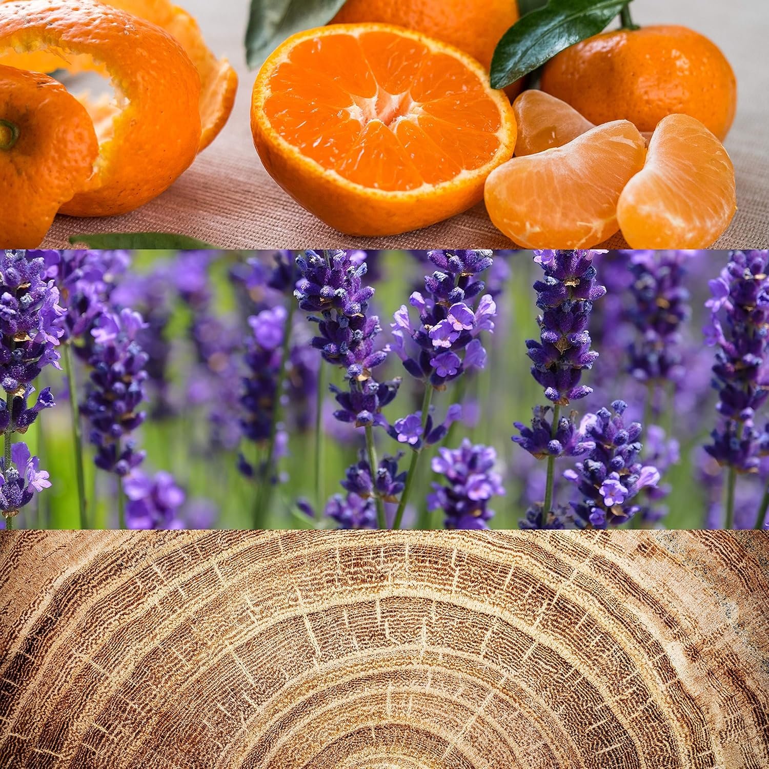 Calvin Klein Obsession for Men Eau de Toilette - Image 5